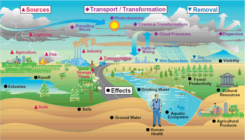 air_pollution_pathways_textbox.gif